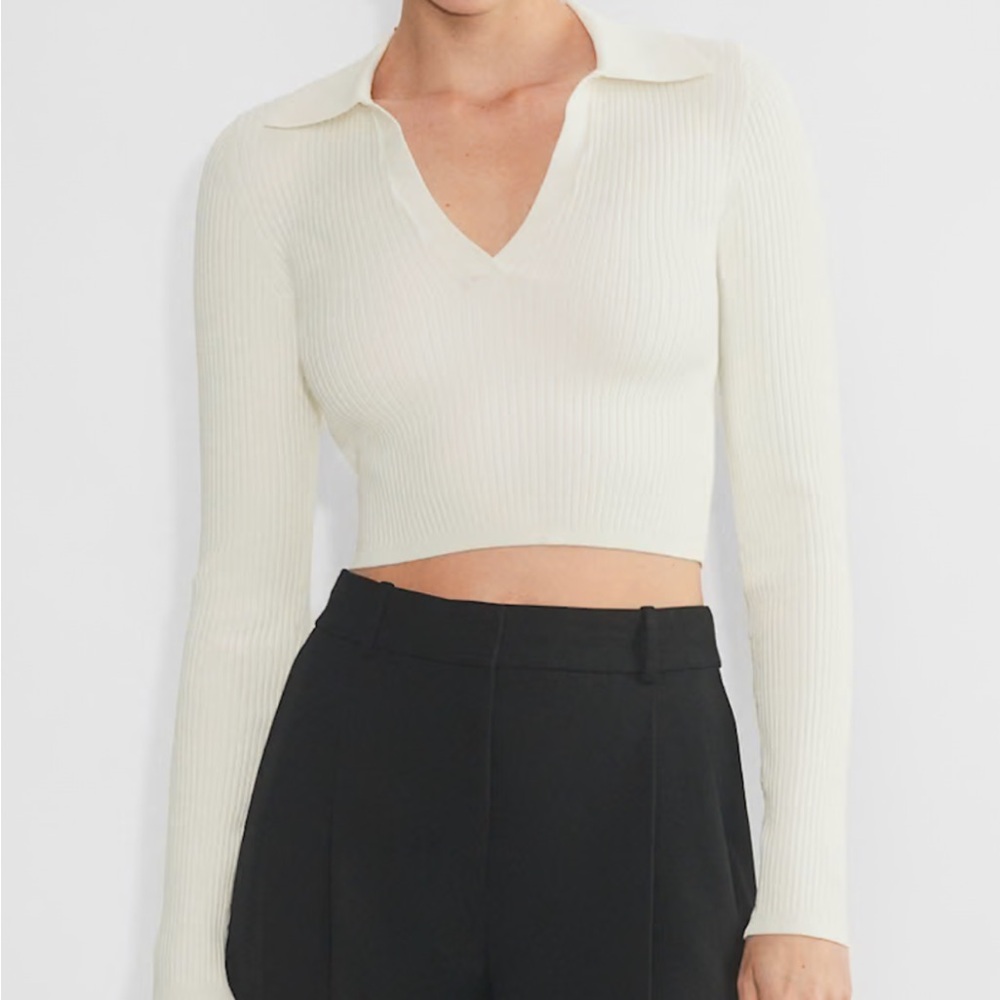 Aritzia Babaton Polo Sweater